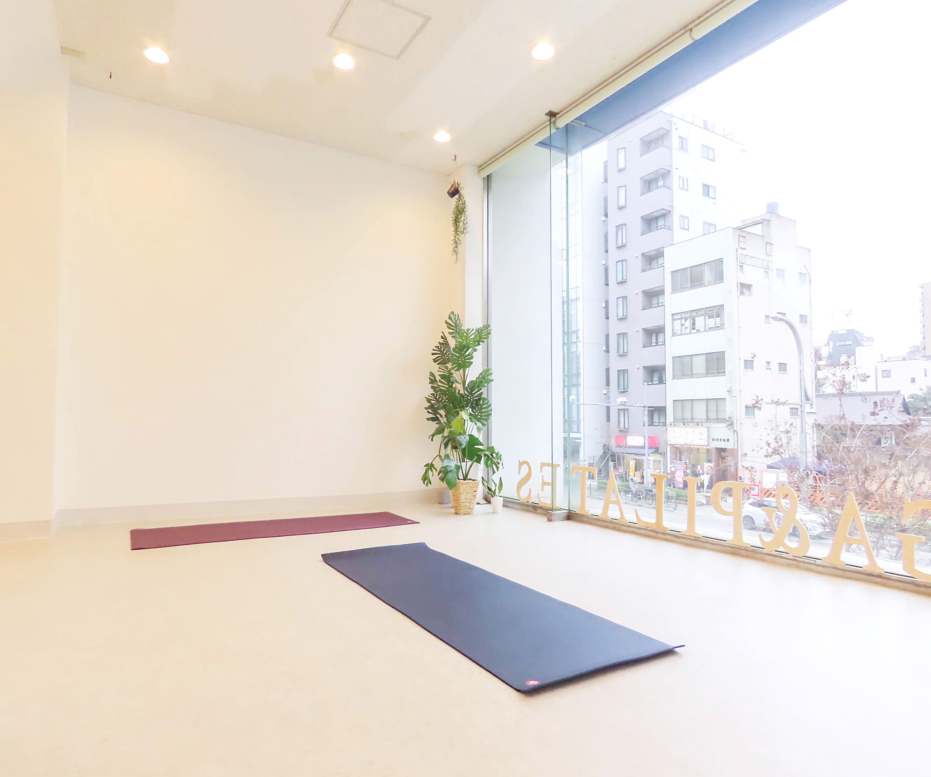 パーソナルヨガ&ピラティスéclat.東京上野スタジオの画像 5
