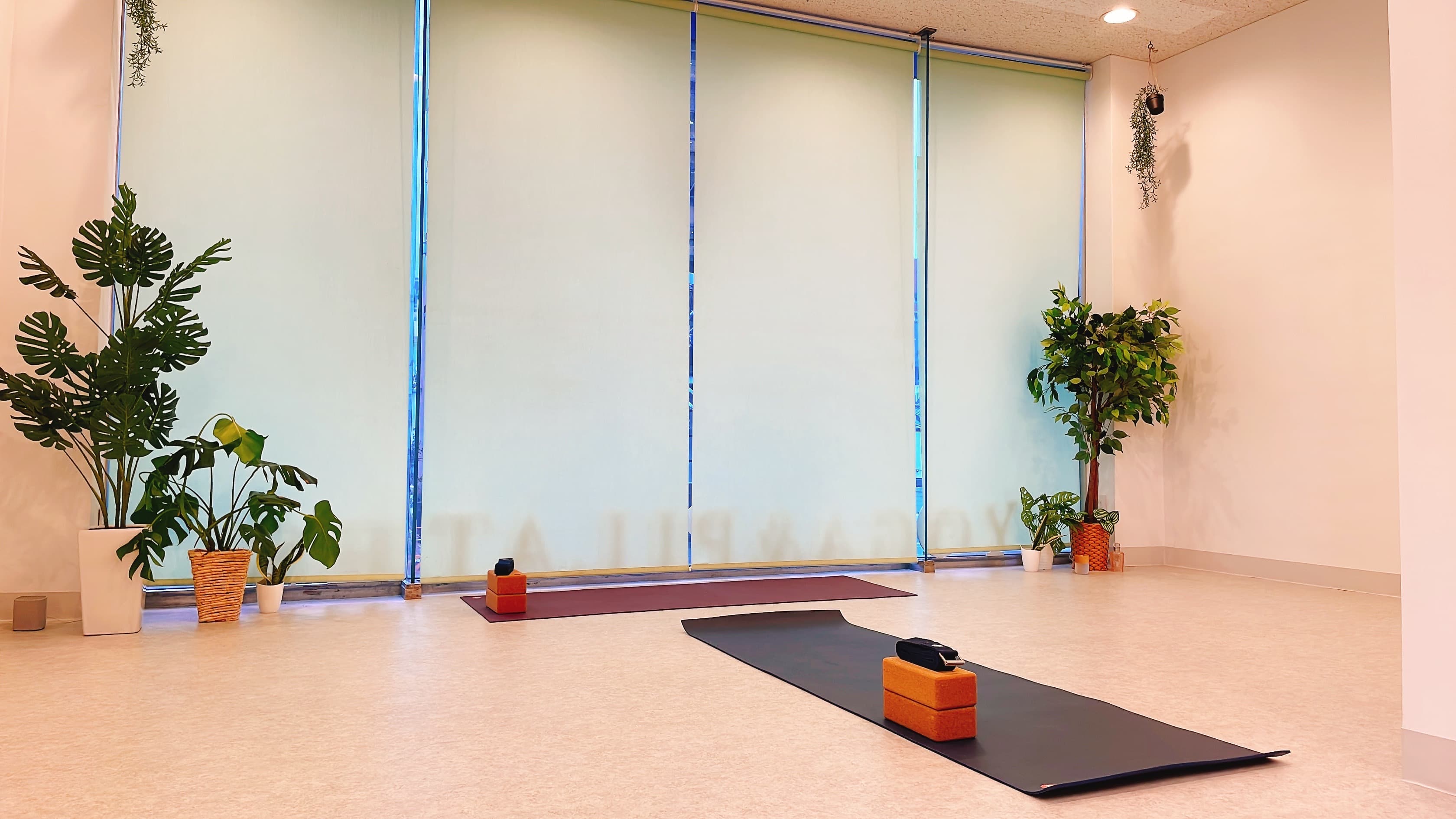 体をほぐすフローヨガ（日本語） 画像1