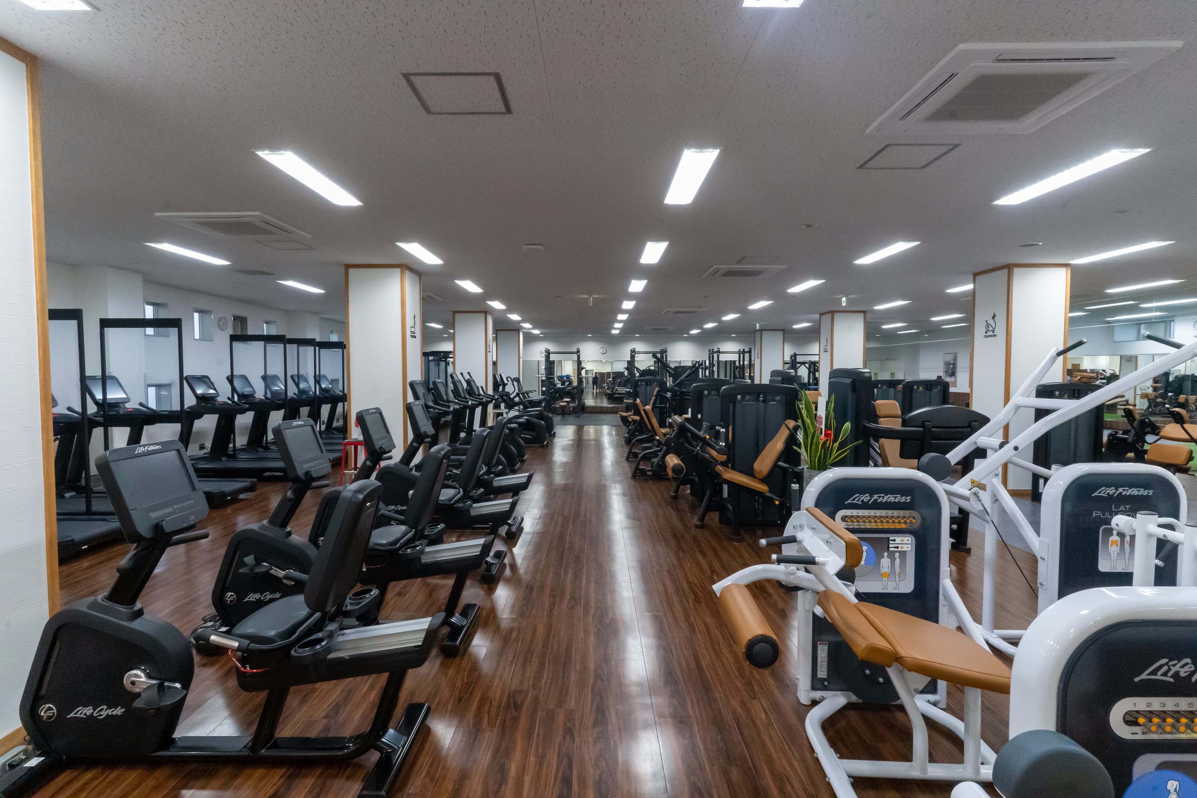 「時間無制限」ジム+プール利用（お風呂・サウナ付き） 画像1