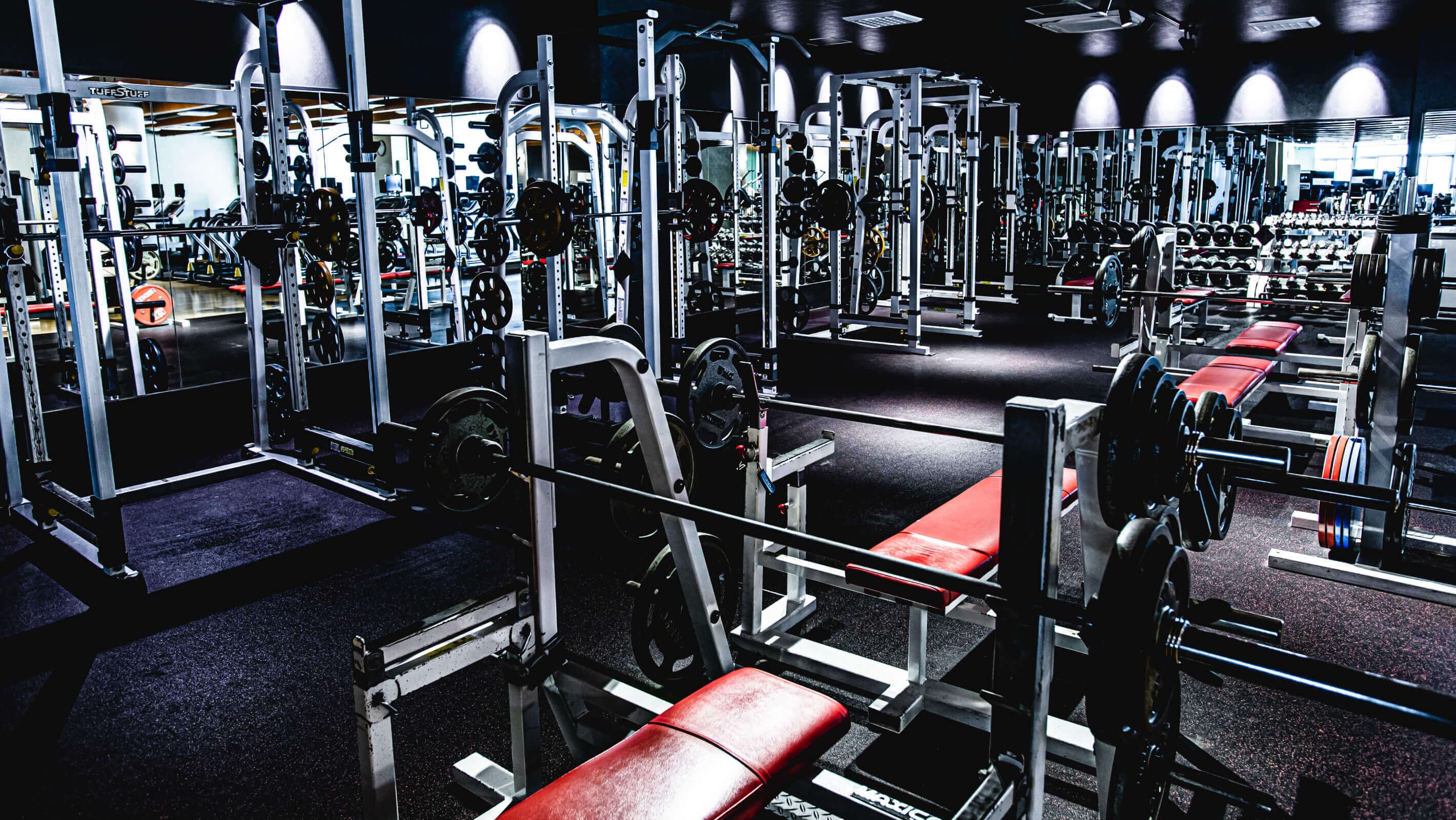 メガロス綱島 画像2