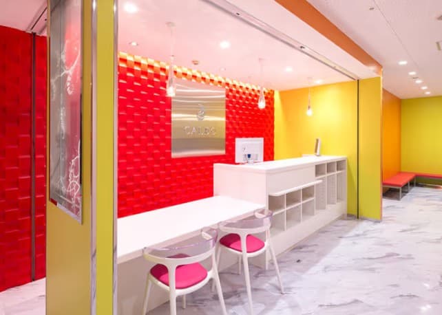 CALDO(カルド) 大橋 画像1