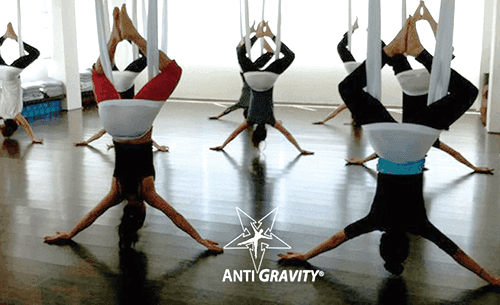 Fundamentals Basic 画像1