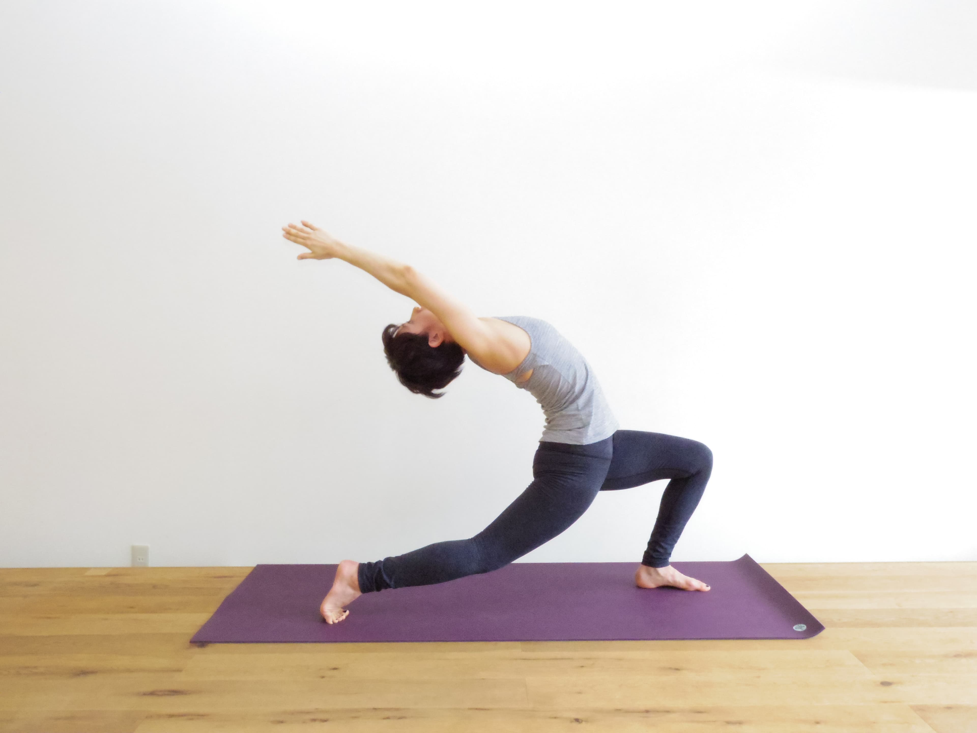 プラティ ヴィンヤサヨガⅡ 画像1