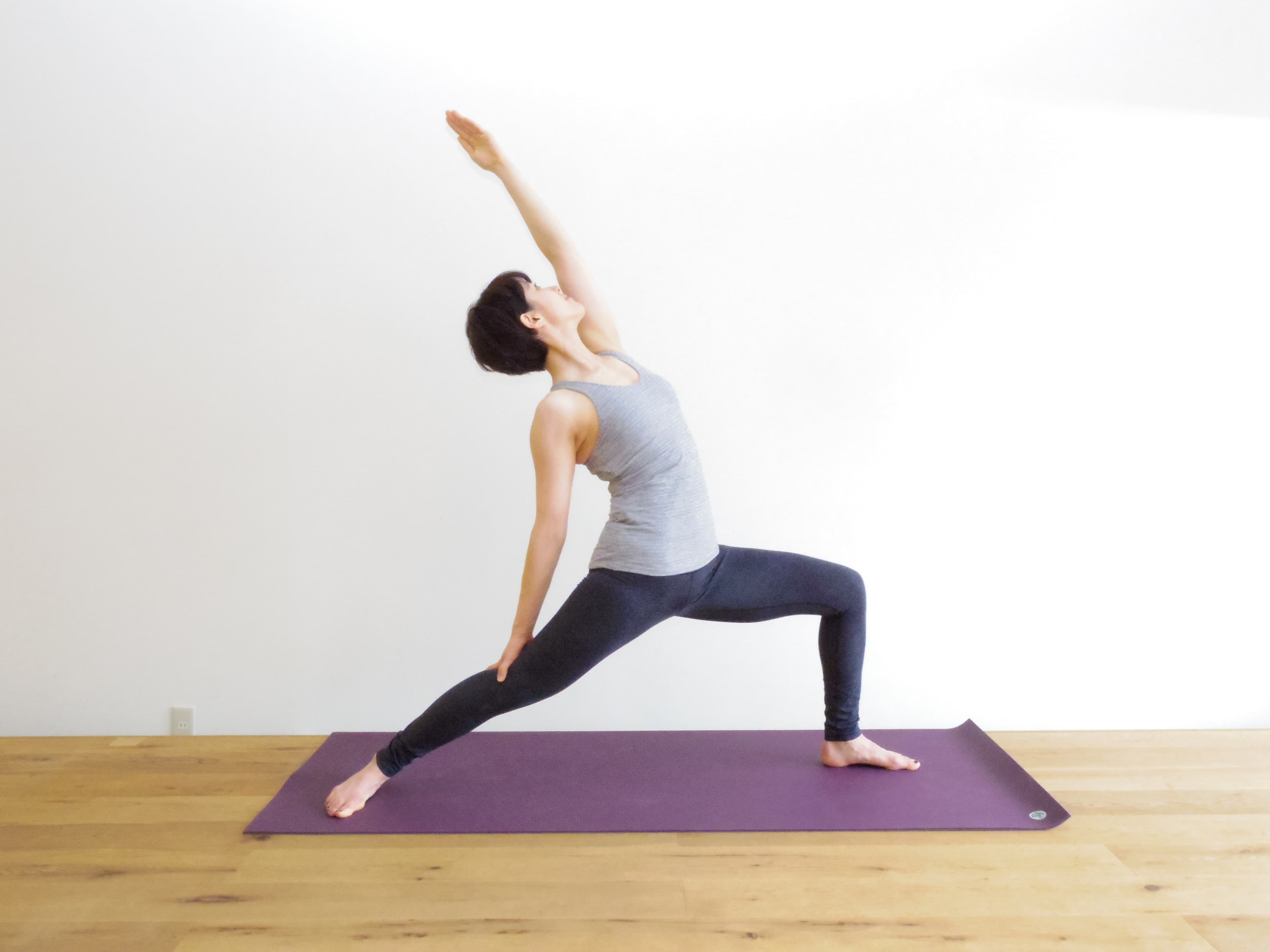 プラティ ヴィンヤサヨガⅠ 画像1