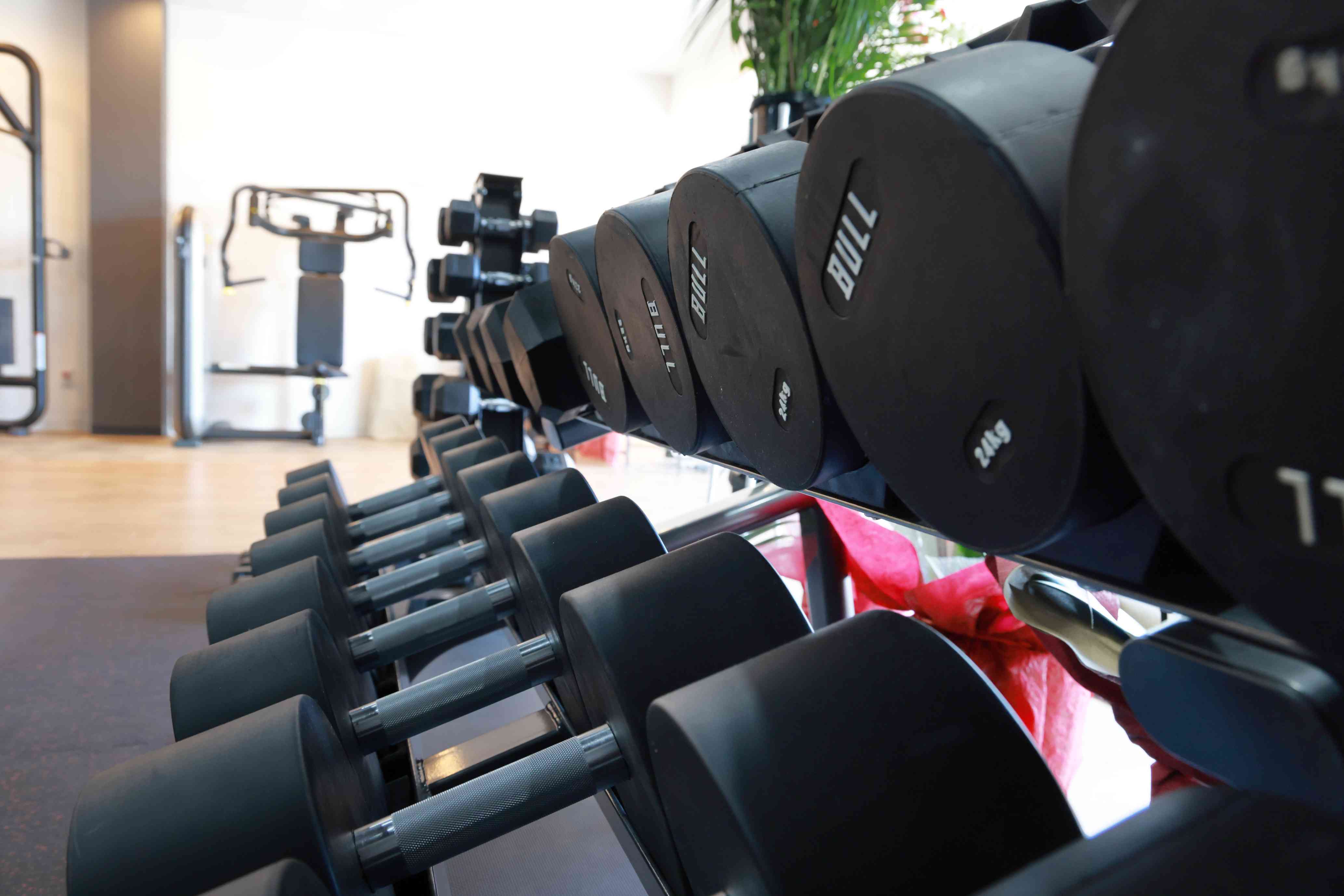 FUNAKI GYM（フナキジム）の画像 3