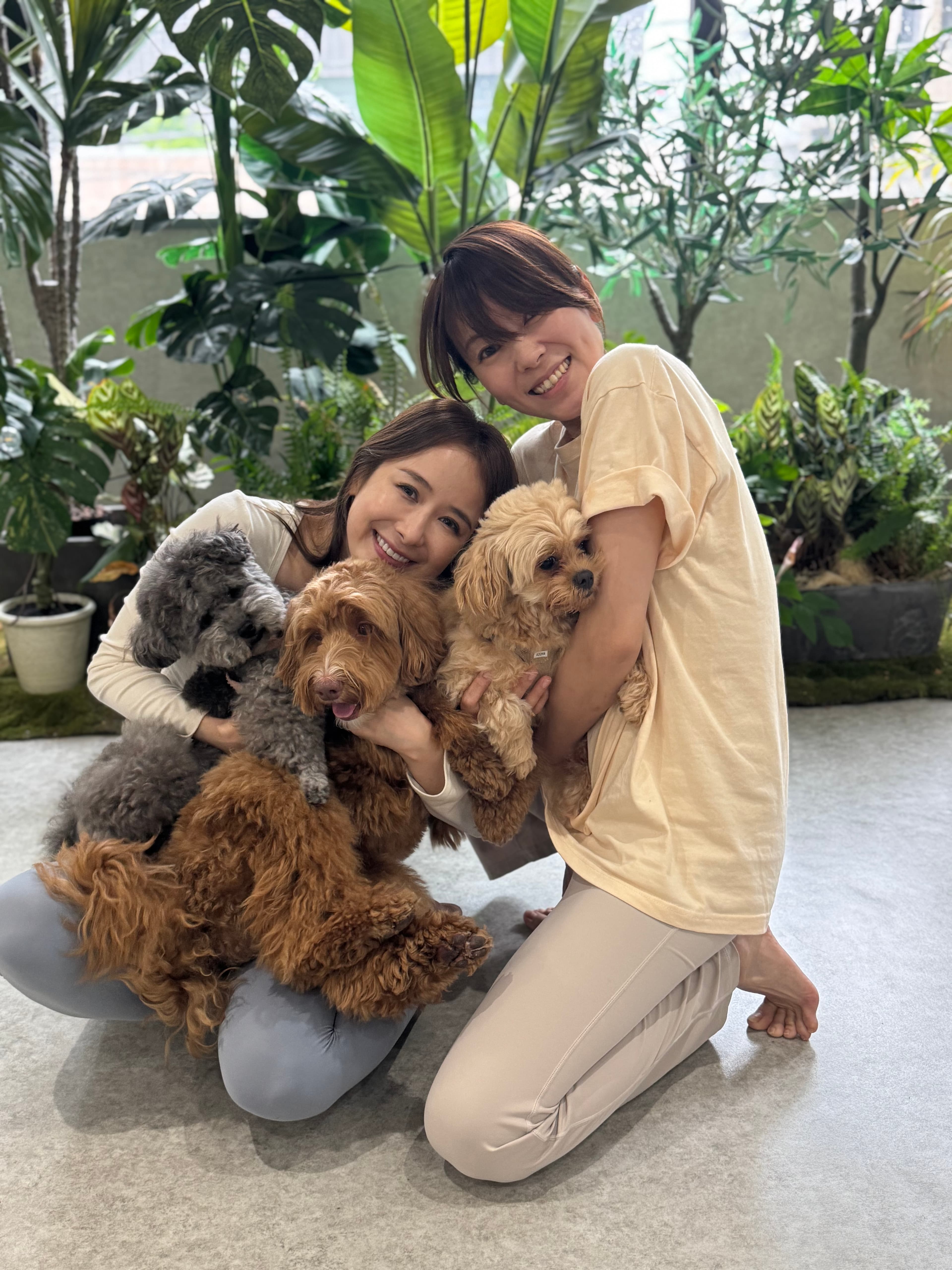 ベーシックヨガ(犬参加OKクラス) 画像1