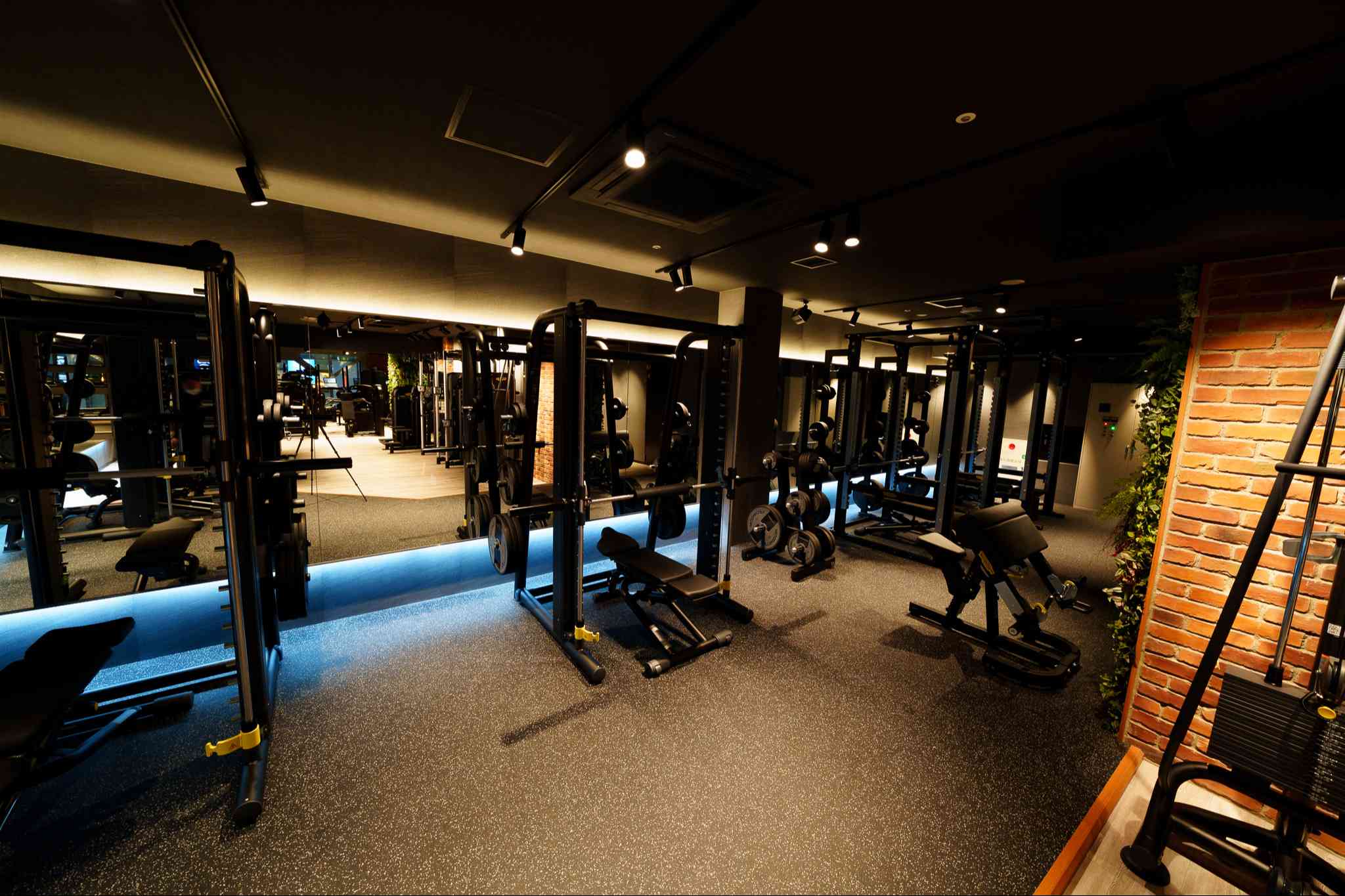 FITWEL ドン・キホーテ船橋南口店の画像 3