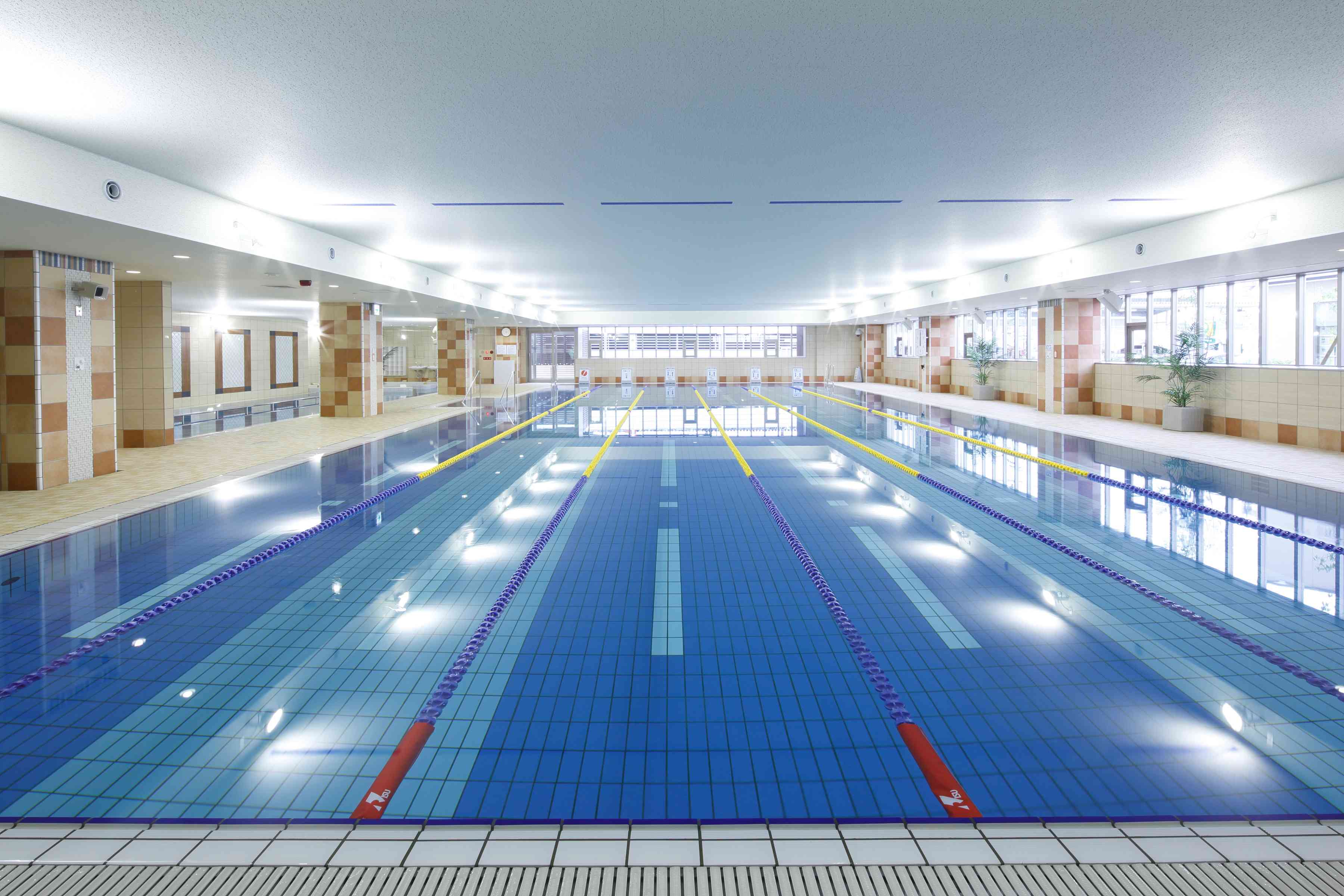 プールエリア利用120分 画像1