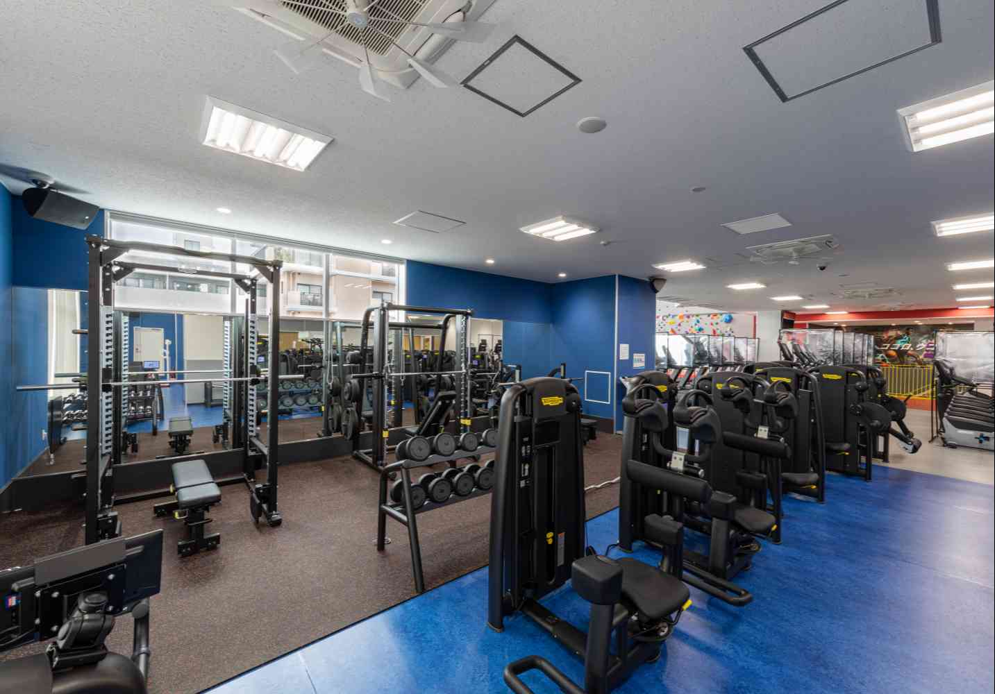 スポーツクラブNAS小阪 画像2